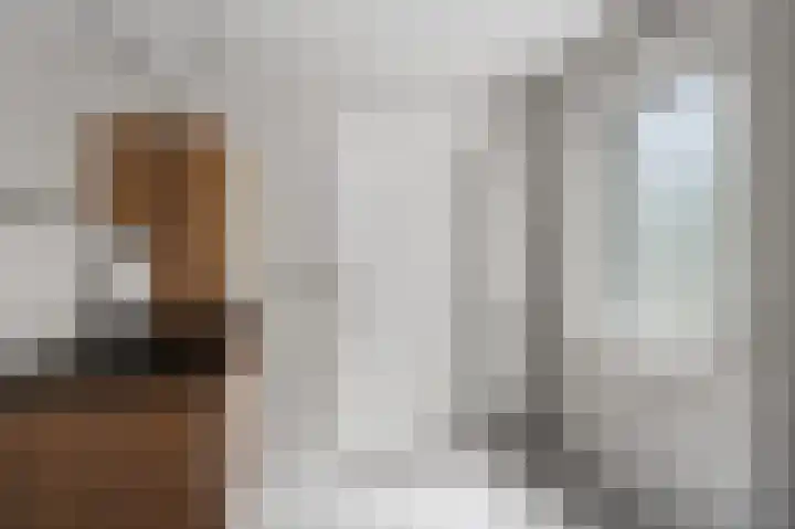 Surinkhof 9 Dieren thumbnail 27