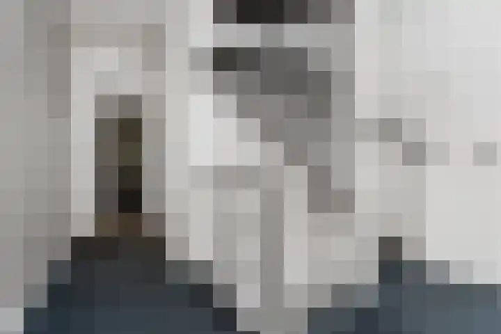 Surinkhof 9 Dieren thumbnail 32