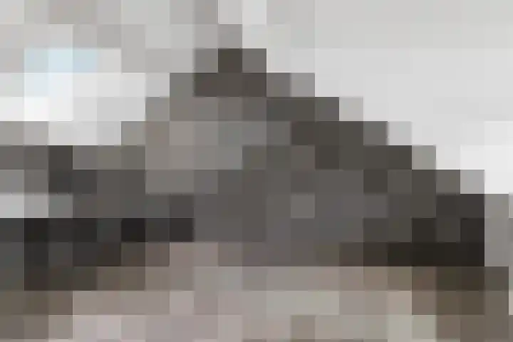 Surinkhof 9 Dieren thumbnail 36