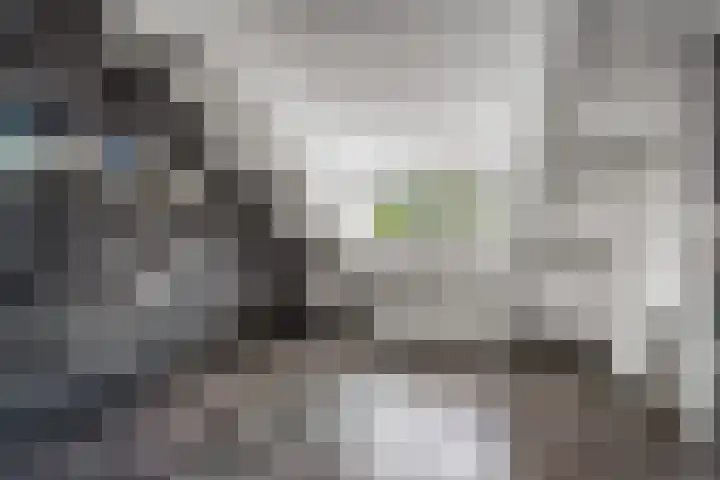 Surinkhof 9 Dieren thumbnail 38