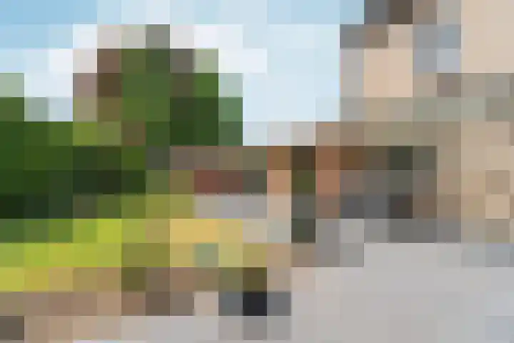 Surinkhof 9 Dieren thumbnail 42