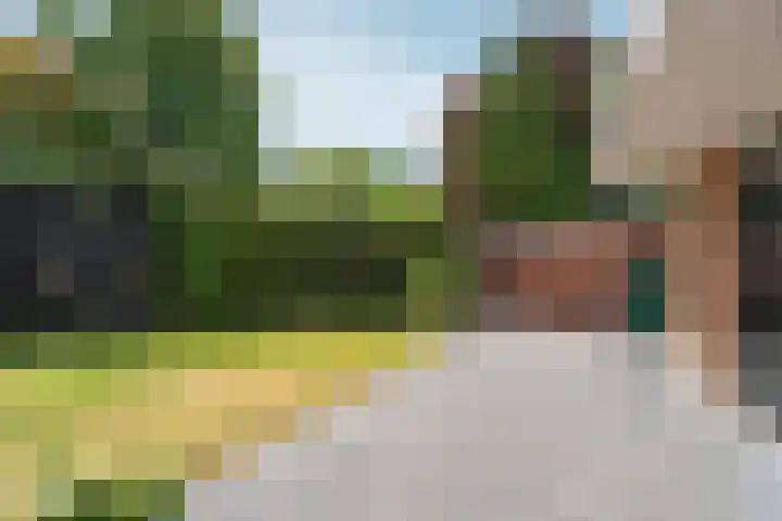 Surinkhof 9 Dieren thumbnail 43