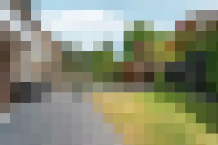 Surinkhof 9 Dieren thumbnail 44