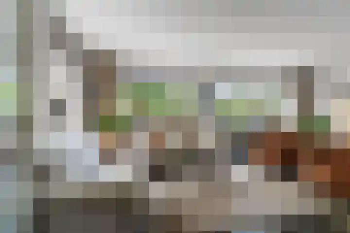 Surinkhof 9 Dieren thumbnail 5