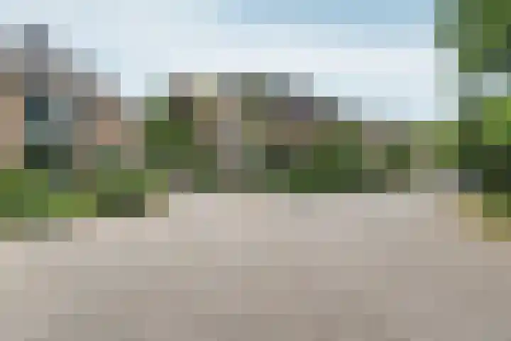 Surinkhof 9 Dieren thumbnail 50