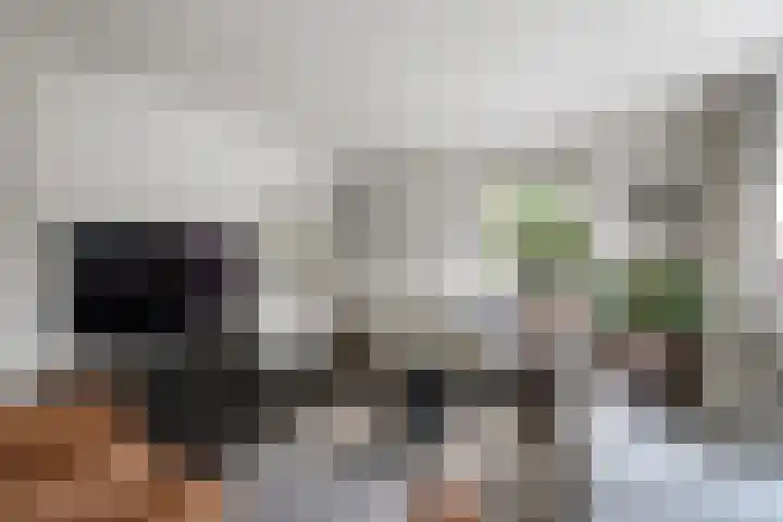 Surinkhof 9 Dieren thumbnail 7