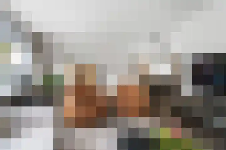 Surinkhof 9 Dieren thumbnail 8