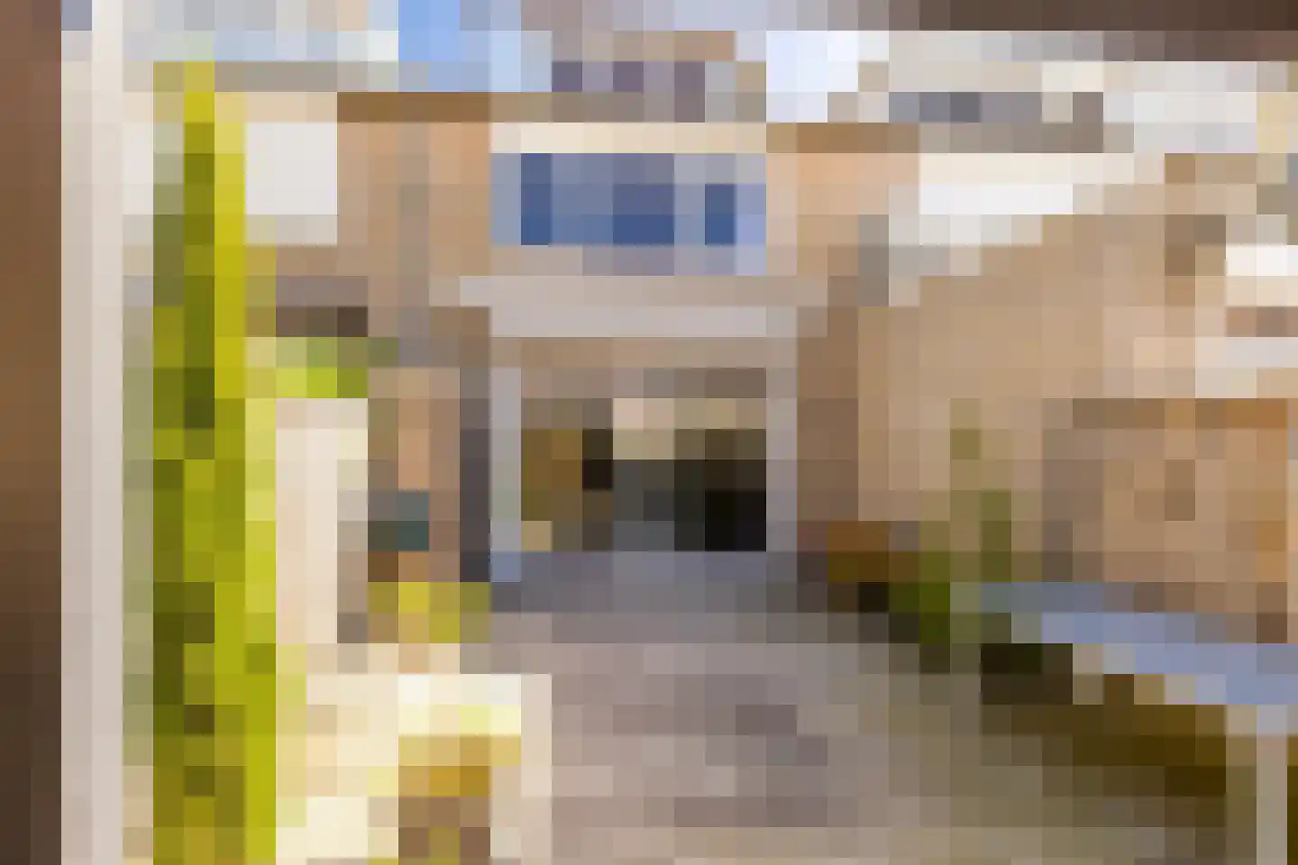 Susannadonk 10 Roosendaal thumbnail 32