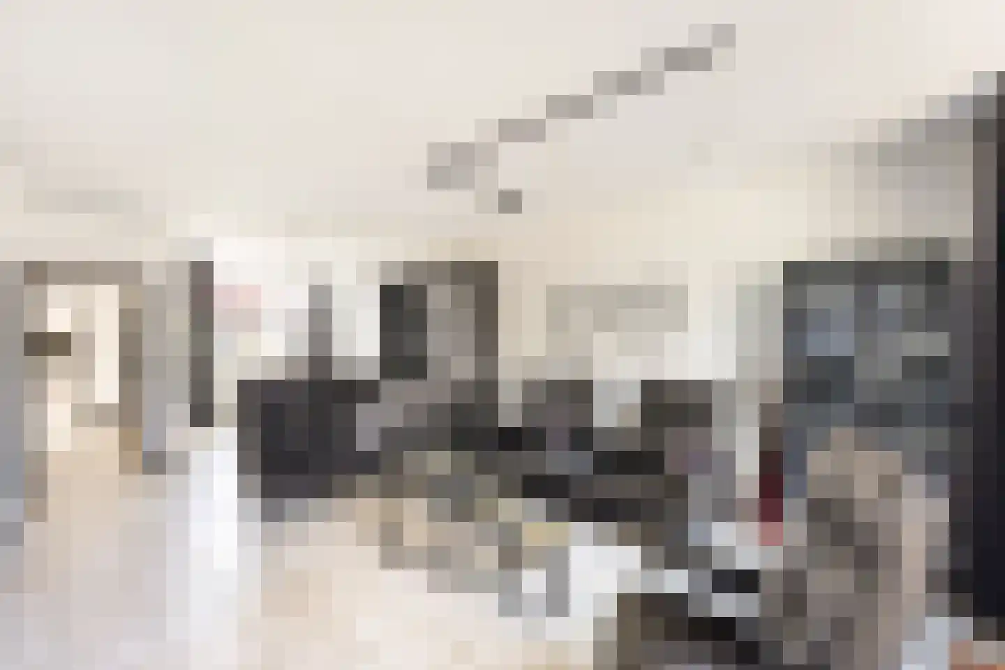 Susannadonk 10 Roosendaal thumbnail 7