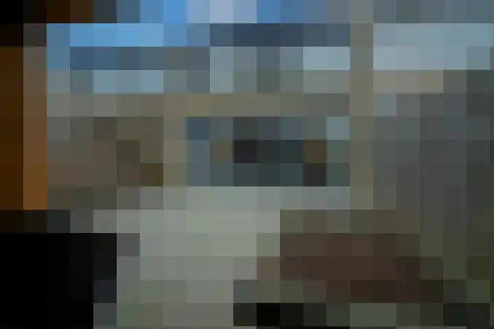 Susannadonk 130 Roosendaal thumbnail 31