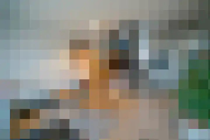 Susannadonk 130 Roosendaal thumbnail 4