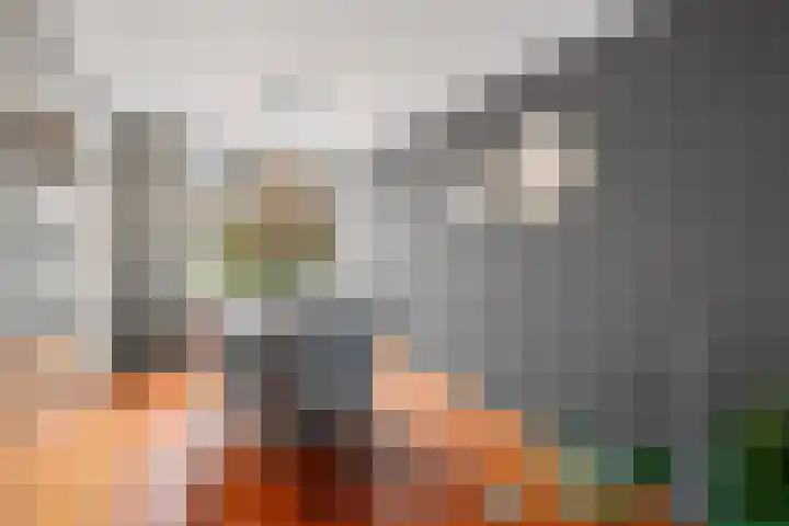 Susannadonk 157 Roosendaal thumbnail 6