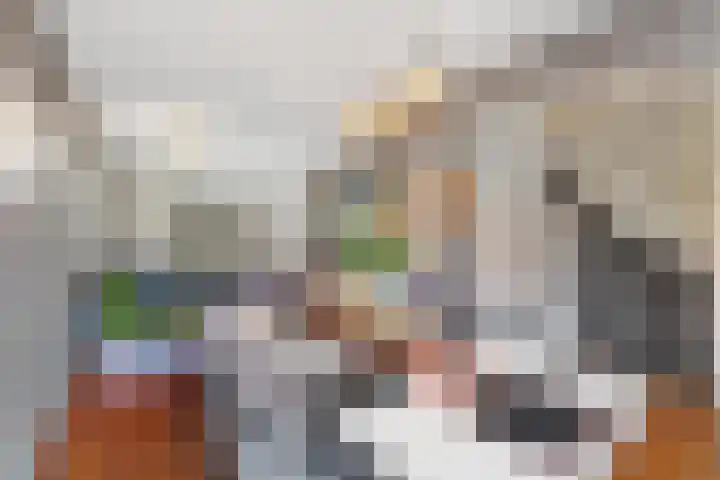 Susannadonk 157 Roosendaal thumbnail 7