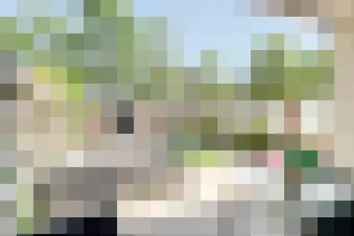 Susannadonk 162 Roosendaal thumbnail 33