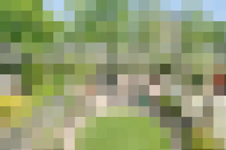 Susannadonk 162 Roosendaal thumbnail 34