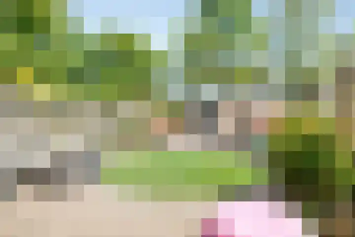 Susannadonk 162 Roosendaal thumbnail 36