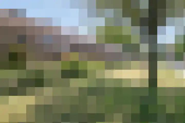 Susannadonk 162 Roosendaal thumbnail 40