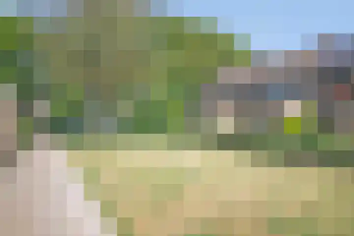 Susannadonk 162 Roosendaal thumbnail 41
