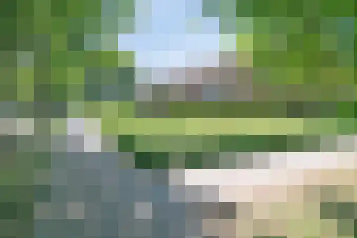 Susannadonk 162 Roosendaal thumbnail 43