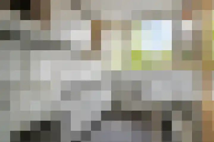 Susannadonk 17 Roosendaal thumbnail 13