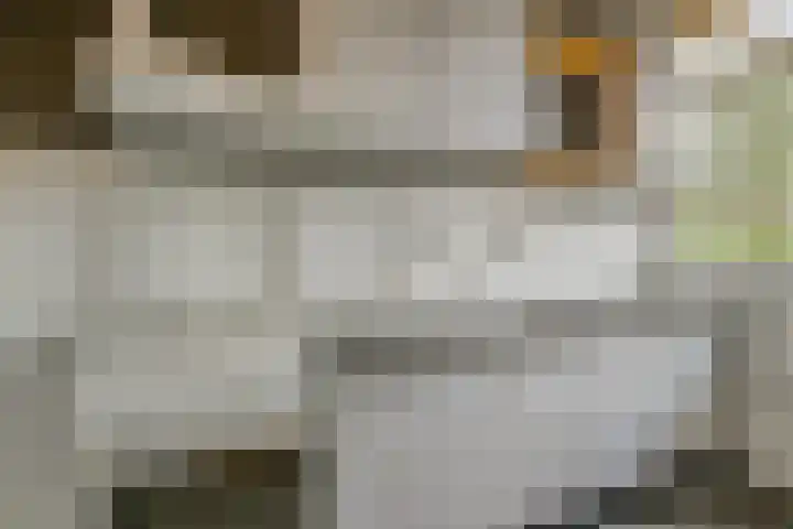 Susannadonk 17 Roosendaal thumbnail 15
