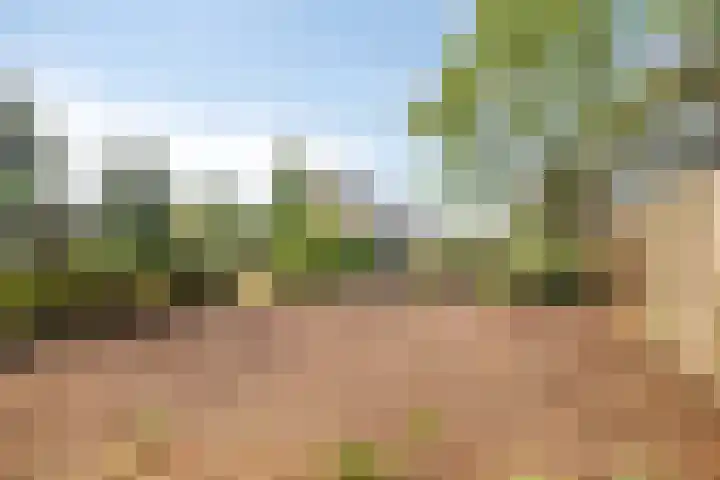 Susannadonk 17 Roosendaal thumbnail 38