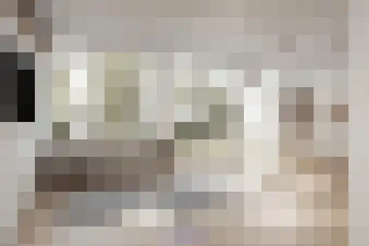 Susannadonk 17 Roosendaal thumbnail 8