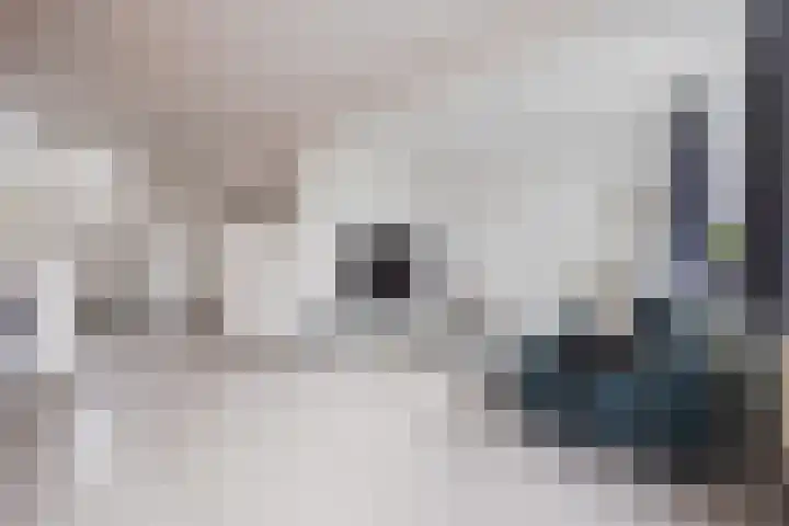 Susannadonk 25 Roosendaal thumbnail 20