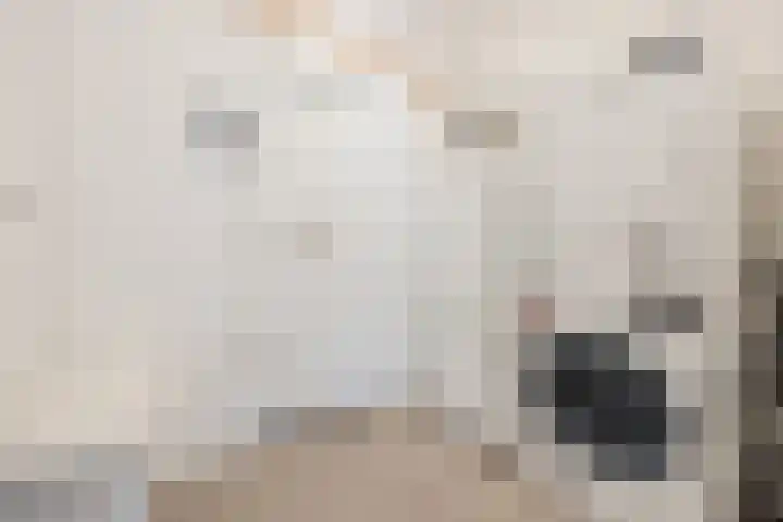 Susannadonk 25 Roosendaal thumbnail 32