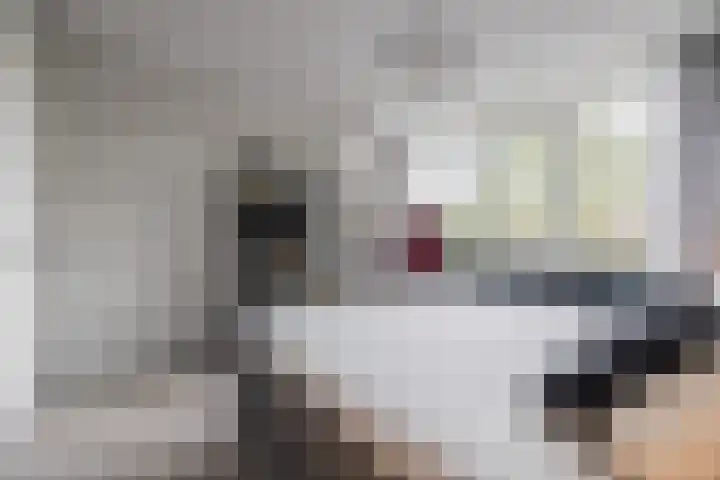 Susannadonk 25 Roosendaal thumbnail 37