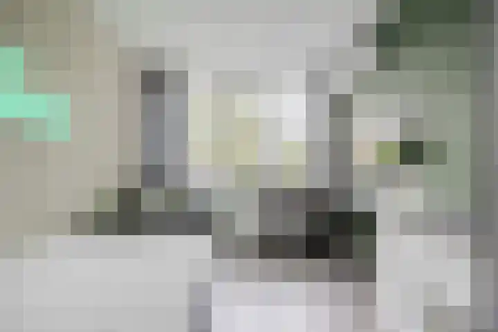 Susannadonk 25 Roosendaal thumbnail 38