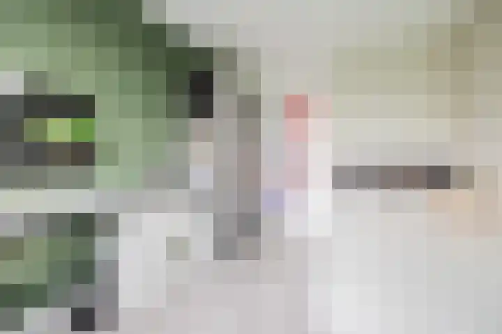 Susannadonk 25 Roosendaal thumbnail 39