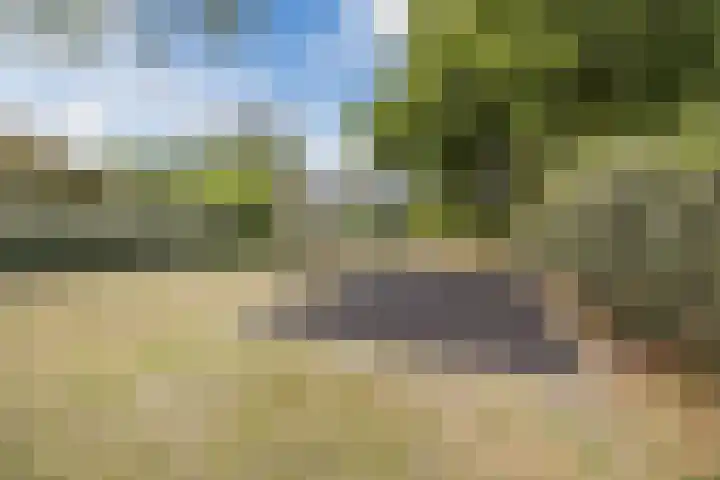 Susannadonk 25 Roosendaal thumbnail 61