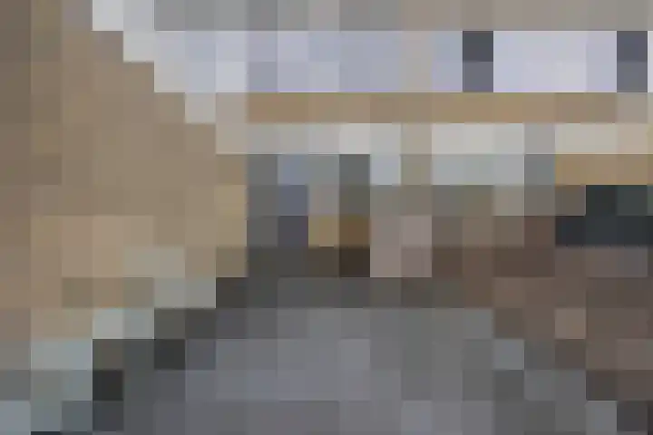 Susannadonk 25 Roosendaal thumbnail 7
