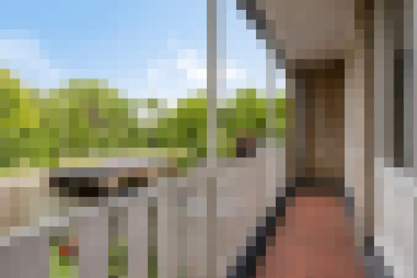Susannadonk 31 Roosendaal thumbnail 25