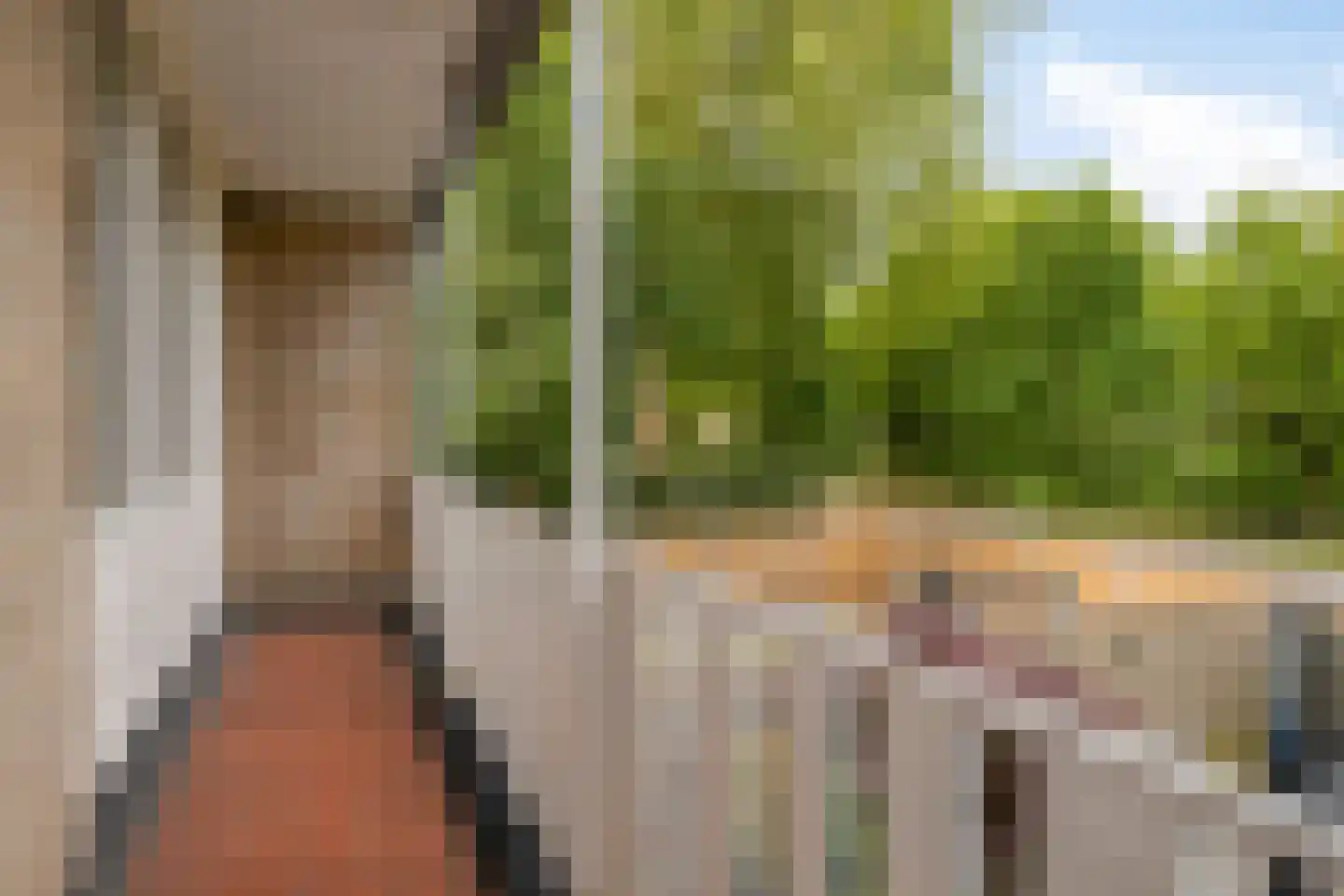 Susannadonk 31 Roosendaal thumbnail 26