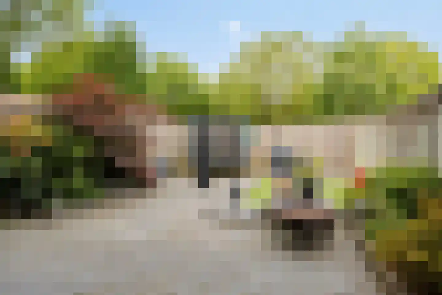 Susannadonk 31 Roosendaal thumbnail 41