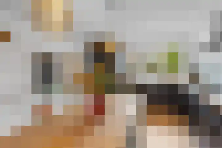 Susannadonk 43 Roosendaal thumbnail 11