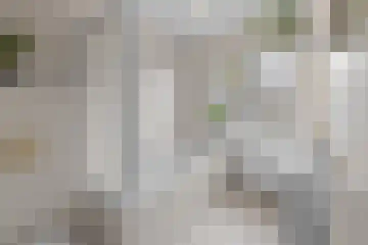 Susannadonk 43 Roosendaal thumbnail 25