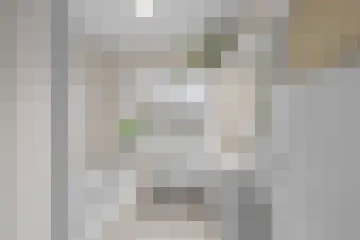 Susannadonk 43 Roosendaal thumbnail 26