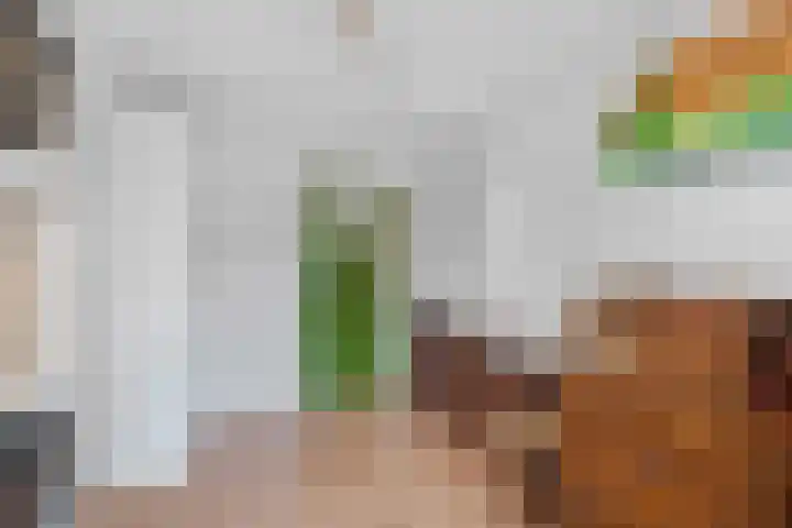 Susannadonk 43 Roosendaal thumbnail 31