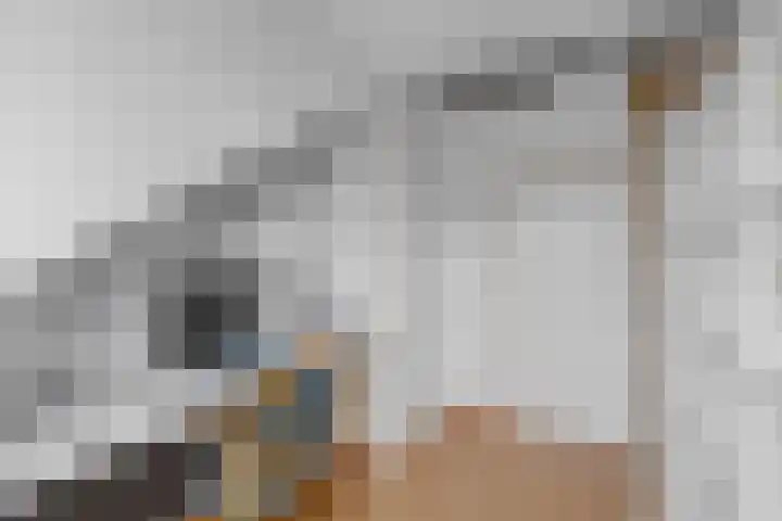 Susannadonk 43 Roosendaal thumbnail 36