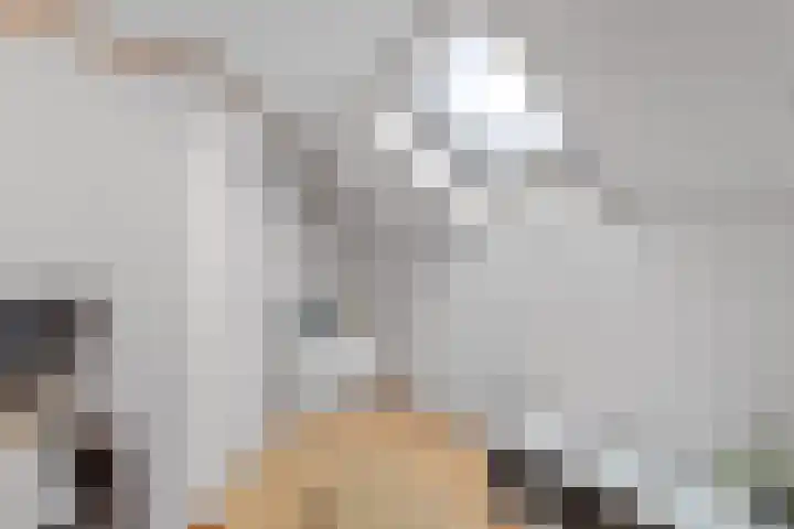 Susannadonk 43 Roosendaal thumbnail 38