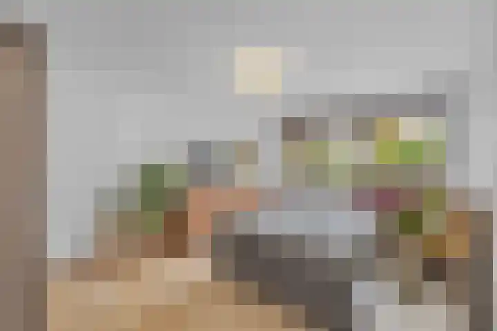 Susannadonk 43 Roosendaal thumbnail 4