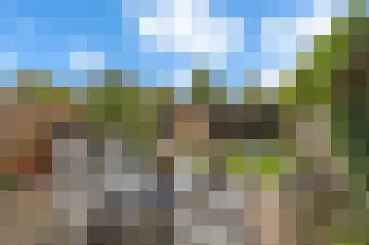 Susannadonk 43 Roosendaal thumbnail 42