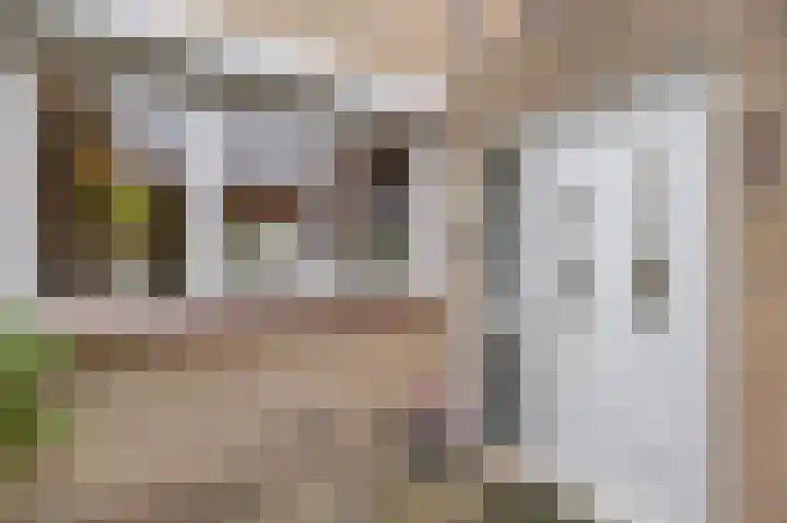 Susannadonk 43 Roosendaal thumbnail 47