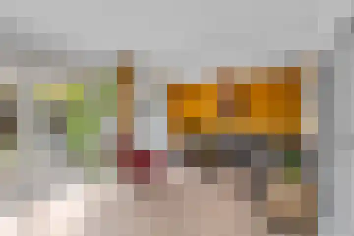 Susannadonk 43 Roosendaal thumbnail 6
