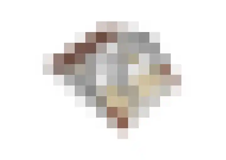 Susannadonk 43 Roosendaal thumbnail 69