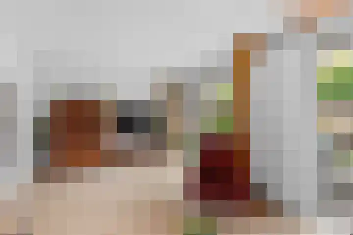 Susannadonk 43 Roosendaal thumbnail 8