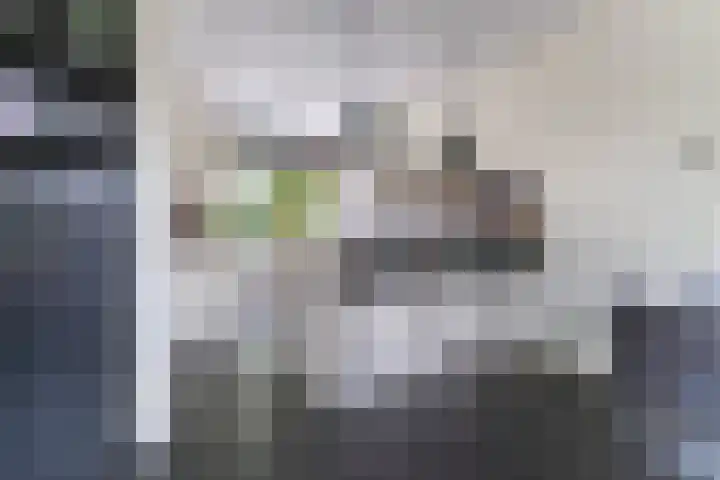 Susannadonk 47 Roosendaal thumbnail 15